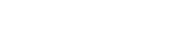 Genesys Global